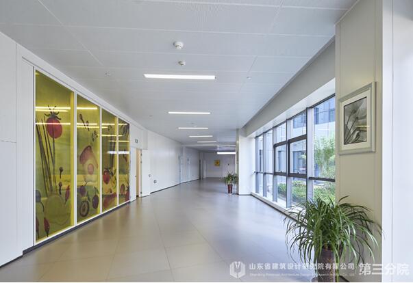 點擊圖片翻到下一頁>> 生命之花,為愛綻放——專訪棗莊婦幼設計“掌舵人”王崗