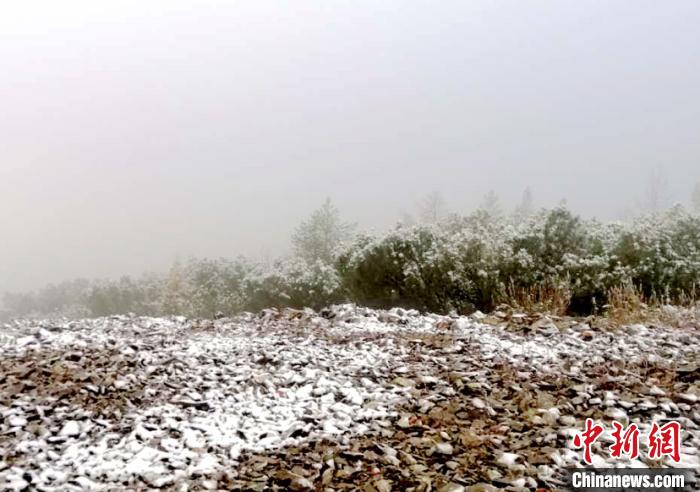 降雪現場。　王妮娜 攝