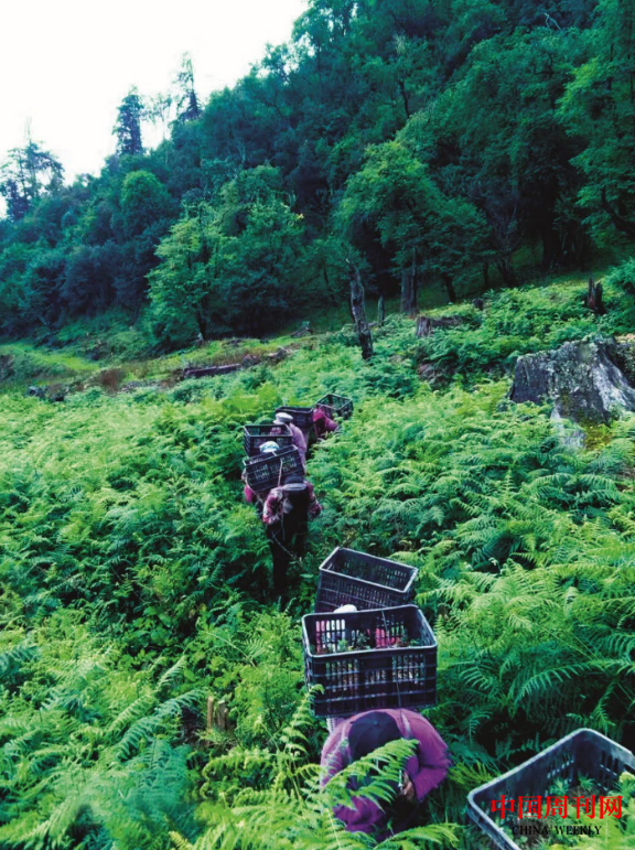 微信圖片_20201109171000.png