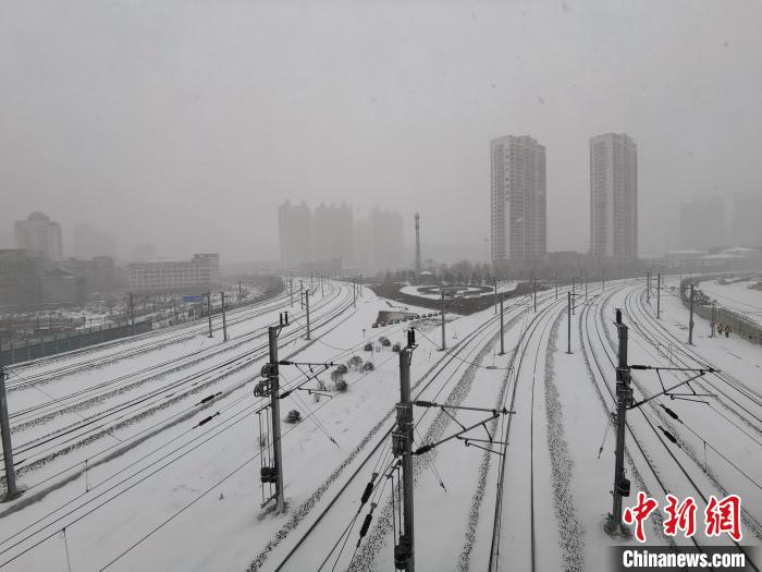 11月19日，黑龍江省迎來今年入冬以來最大降雪。　姜輝 攝