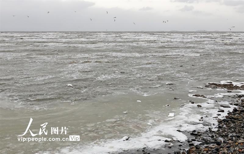 12月29日，遼寧省大連夏家河海濱浴場近海區(qū)出現(xiàn)結(jié)冰。