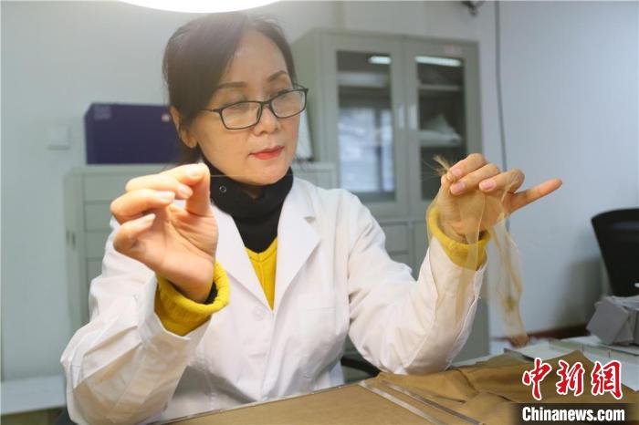 據趙喜梅介紹，修復文物紡織品所用的縐絲紗比頭發絲還細。　高展 攝