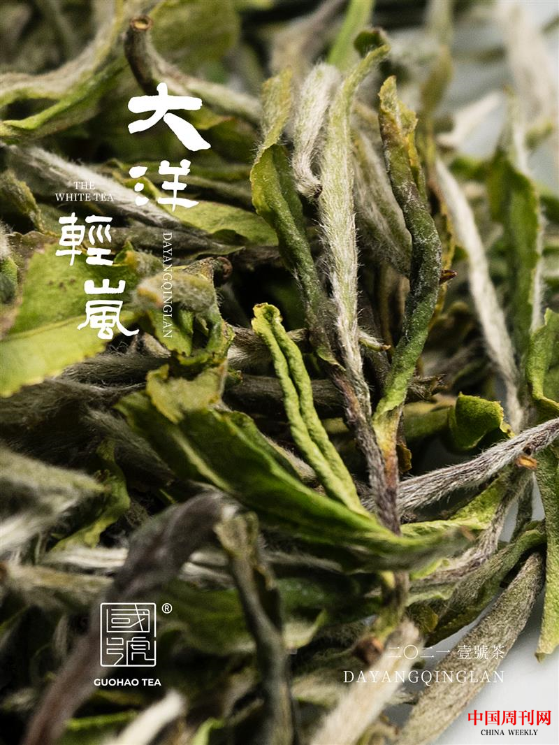 圖片 5.png