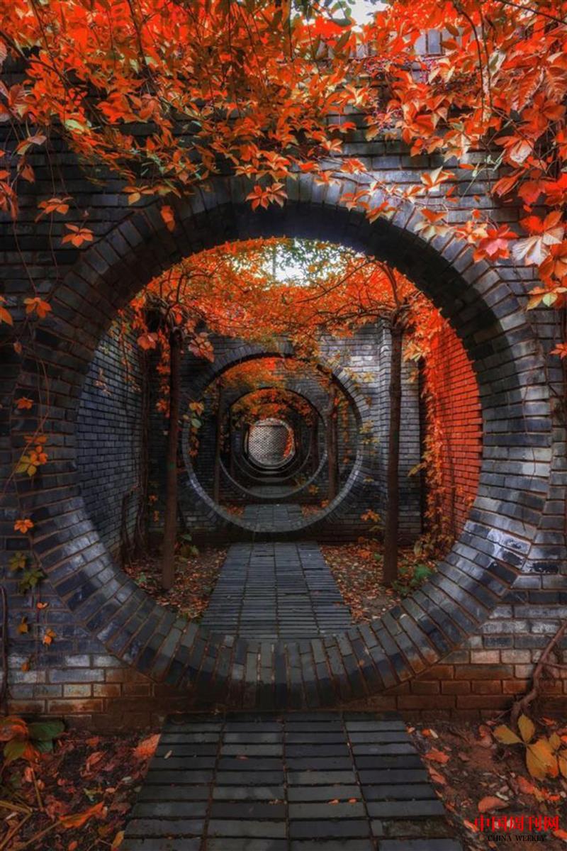 北京紅磚美術館秋色.jpg