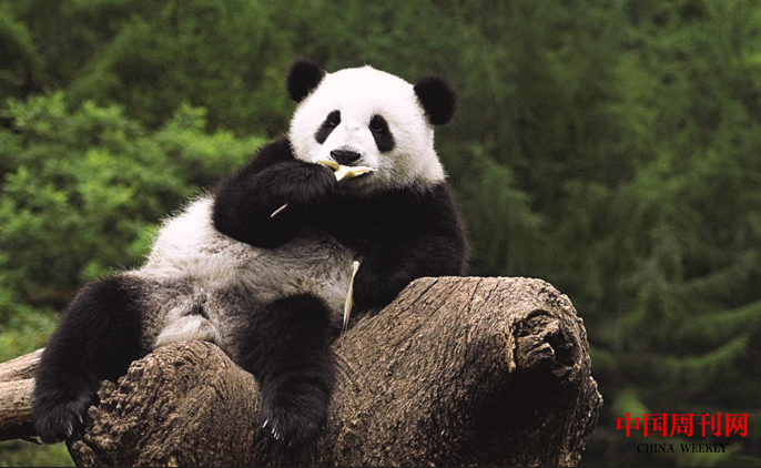 微信截圖_20220920154105.png