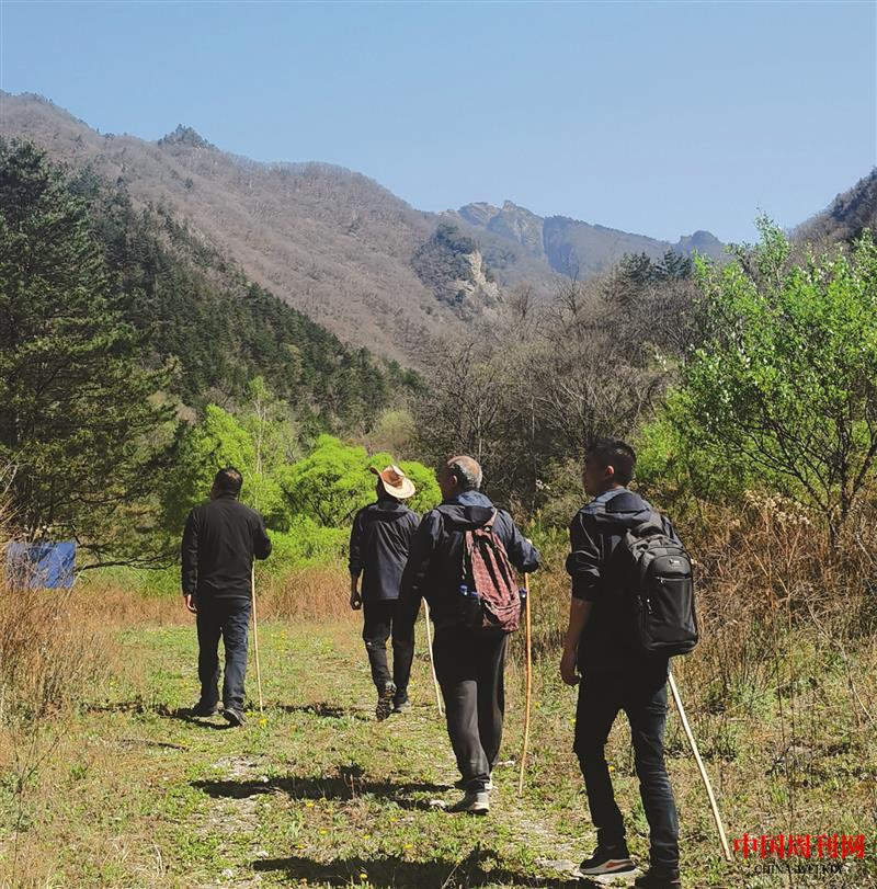 行走在牛背梁保護區的生態衛士（華榮艷攝影).JPG