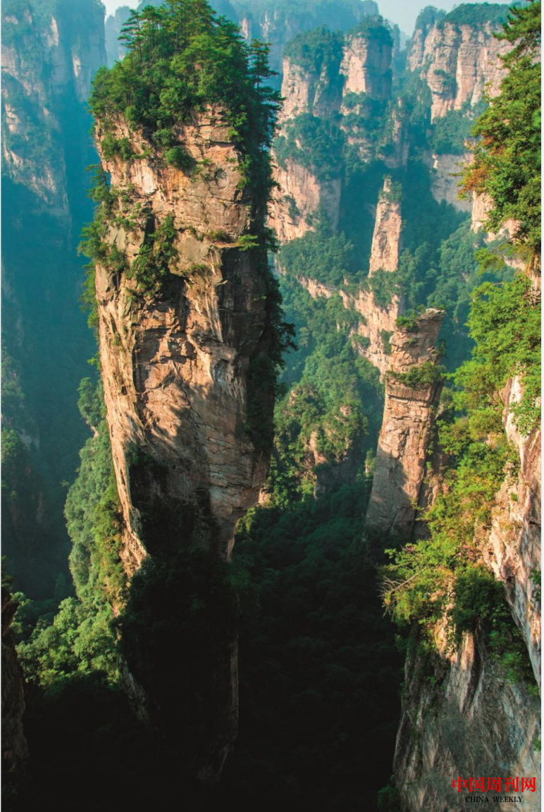 微信截圖_20221014184927.png