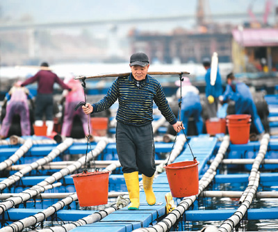 中國優化完善多項階段性稅費優惠政策—— 稅惠力度多大？聽企業算算賬