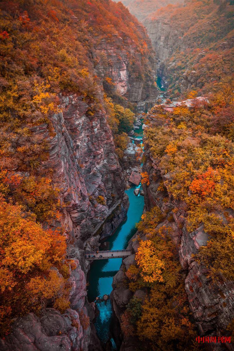 攝圖網(wǎng)_501134272_云臺(tái)山秋季風(fēng)景（企業(yè)商用）.jpg
