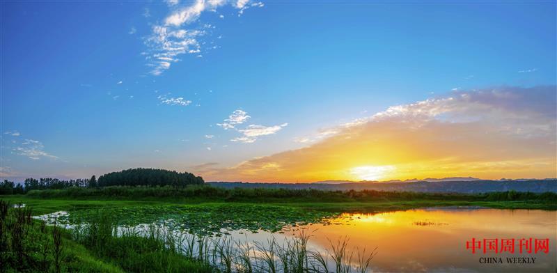 9《黃河濕地》.jpg